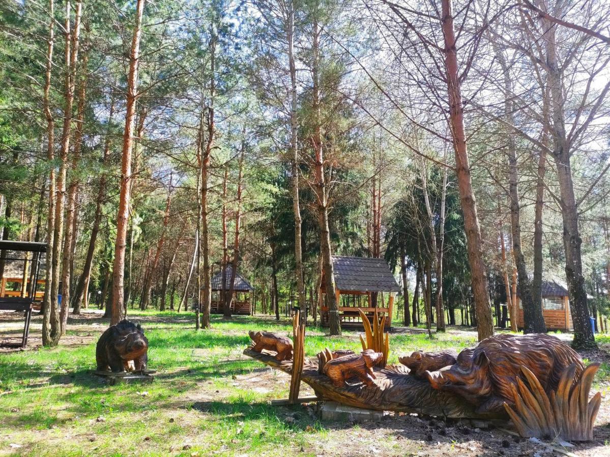 Мисливець В Комплексі "Сокіл" Hotel Susk Eksteriør billede